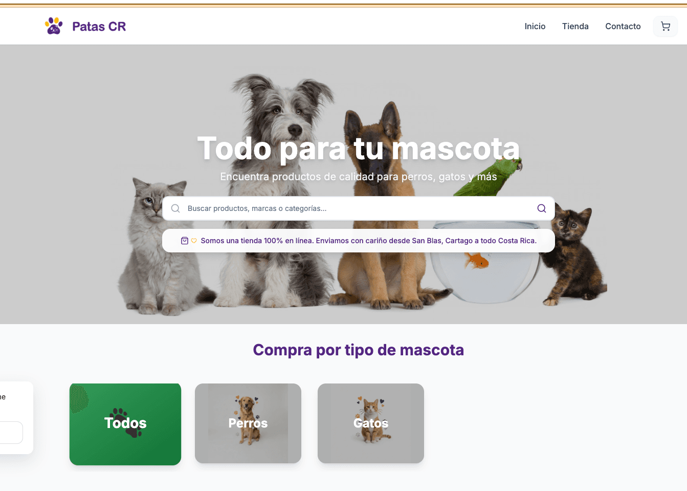 Fullstack Developer & AI Engineer — Patas CR